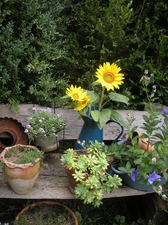 Le Fousseret Ferme Saint Joseph B&B 외부 사진