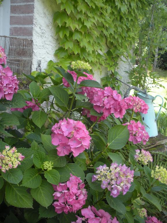 Le Fousseret Ferme Saint Joseph B&B 외부 사진